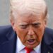 Trump, 79, Says Nearly All Americans Have Died From Drugs in Bonkers Claim