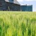 US farmers face 'financial calamity' without extra aid soon, Republican lawmakers say