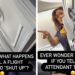 Video: Unruly passenger kicked off flight after telling attendant to "shut up"