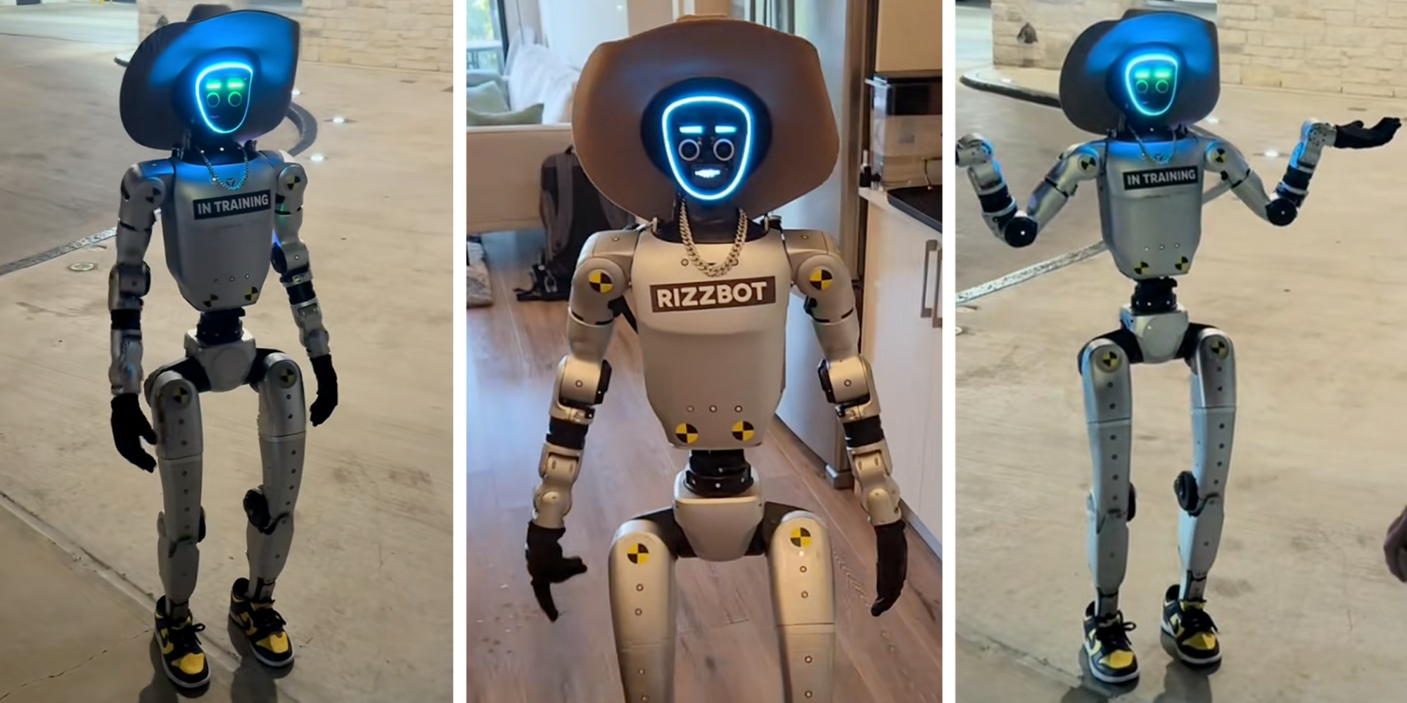 rizzbot what is it