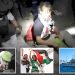 Greta Thunberg’s flotilla detained by Israel yet again after trying to reach Gaza