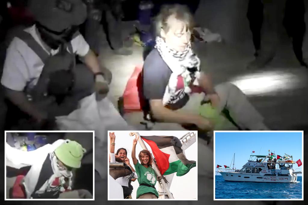 Greta Thunberg’s flotilla detained by Israel yet again after trying to reach Gaza