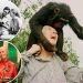 Jane Goodall’s life in photos: From groundbreaking primate research to environmental activism