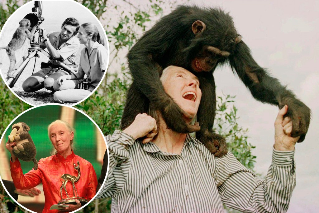 Jane Goodall’s life in photos: From groundbreaking primate research to environmental activism