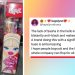 Hello Kitty x Bratz collab sparks outrage over exclusion of Black character: "No Sasha, no sales"