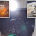 Disturbing video shows masked firebugs torching UK mosque: ‘Height of hateful criminality’