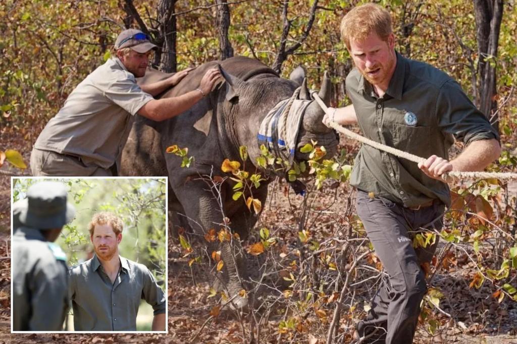 Chad cuts ties with wildlife charity linked to Prince Harry over ‘disrespectful attitude’