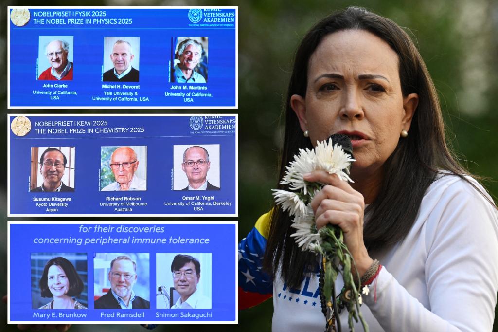 Nobel prize 2025 winners for medicine, physics, chemistry, literature:  A full list