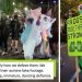 More frogs (and other creatures) join in the Portland ICE protests: "New characters have been unlocked"