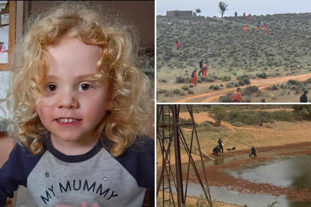 Police share heartbreaking update on search for missing 4-year-old
