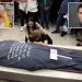 Exclusive | US families sue PLO and Palestinian Authority for ‘pay for slay’ scheme handing terrorists millions