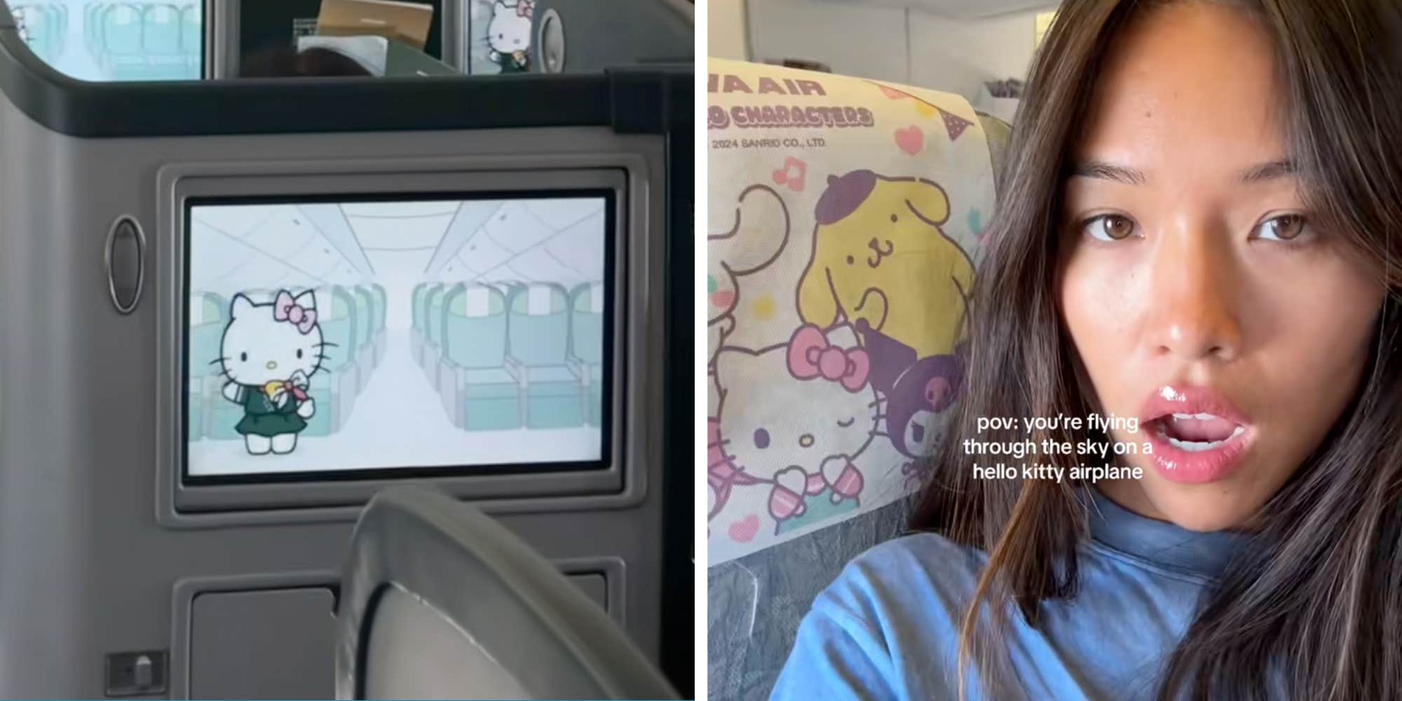 "Bucket list experience": Passenger shares footage from her flight on a Hello Kitty airplane