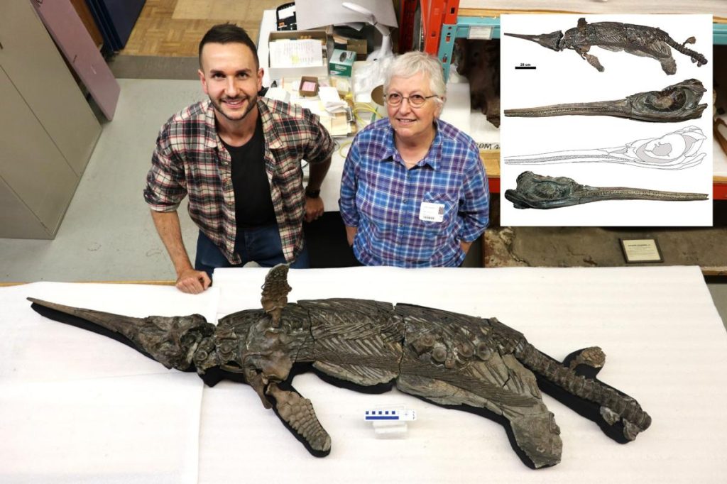 Decades-old mystery of elusive ‘sword dragon’ skeleton finally solved: scientists