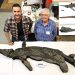 Decades-old mystery of elusive ‘sword dragon’ skeleton finally solved: scientists