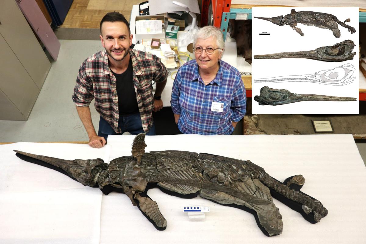 Decades-old mystery of elusive ‘sword dragon’ skeleton finally solved: scientists