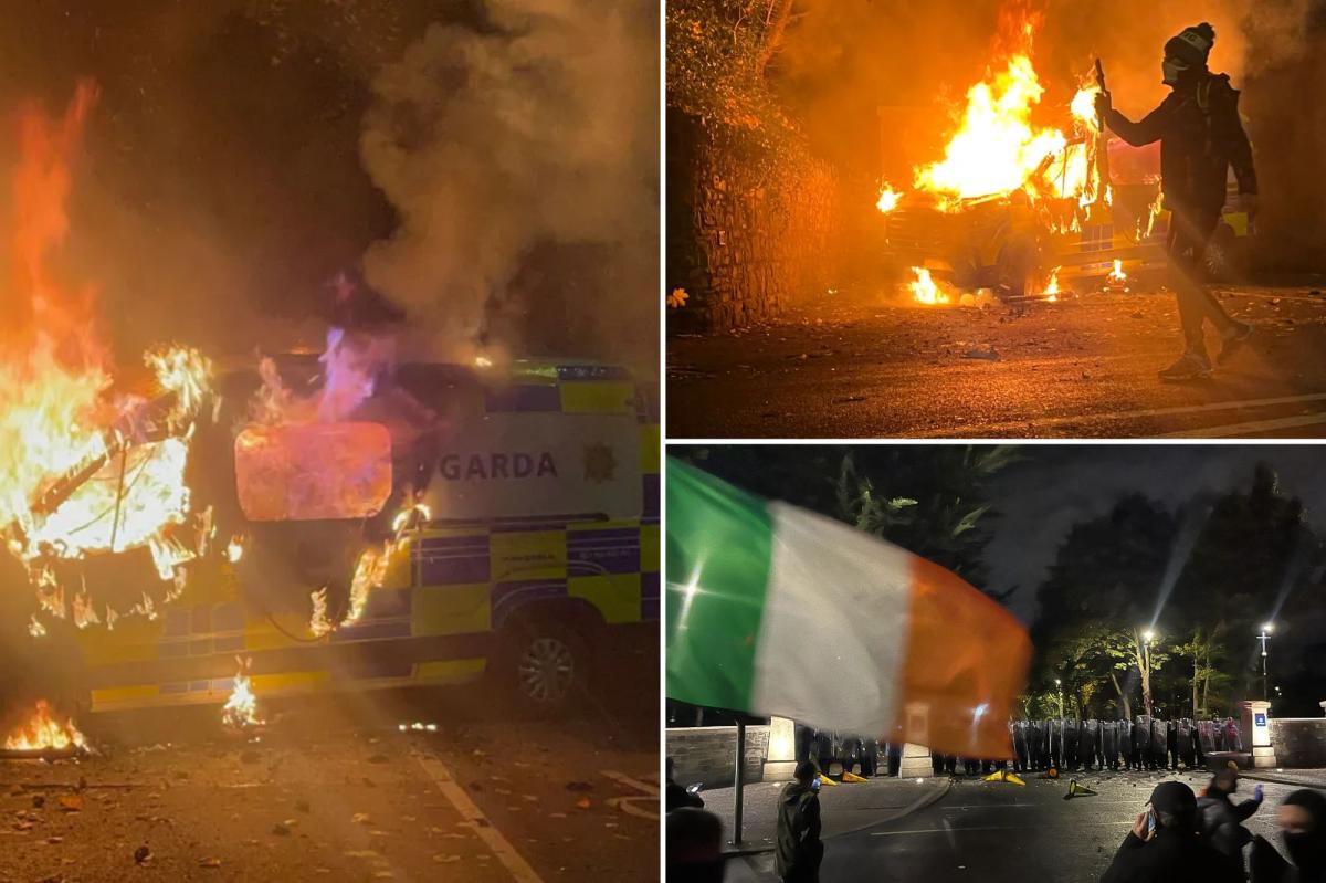 Anti-immigrant protesters burn police van after girl attacked near Dublin asylum seeker housing