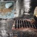 London woman fined $200 for pouring splash of coffee down storm drain before hopping onto bus