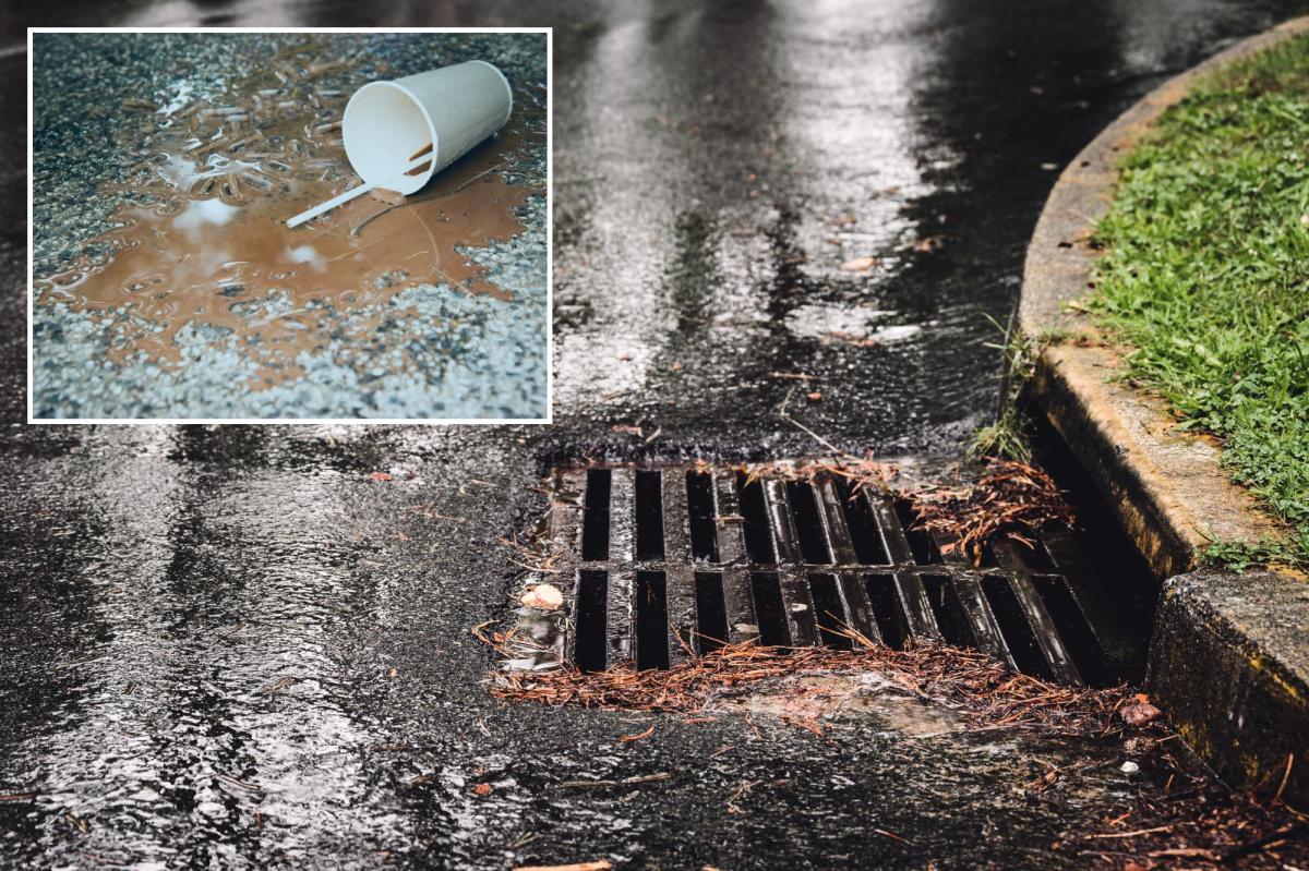 London woman fined $200 for pouring splash of coffee down storm drain before hopping onto bus