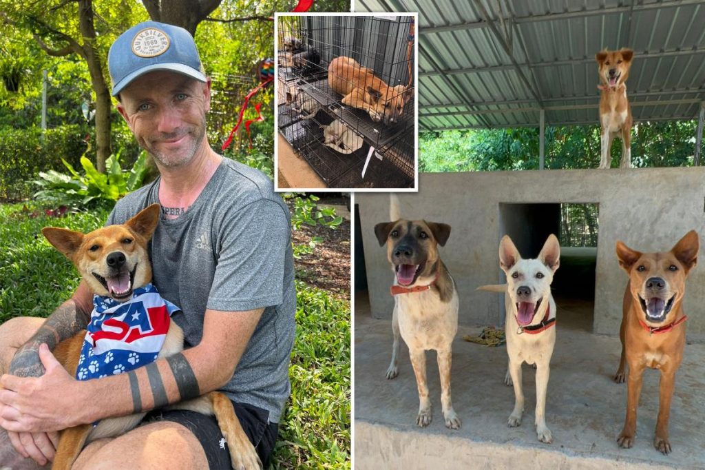 I nearly died of alcoholism — but I found purpose in life rescuing street dogs