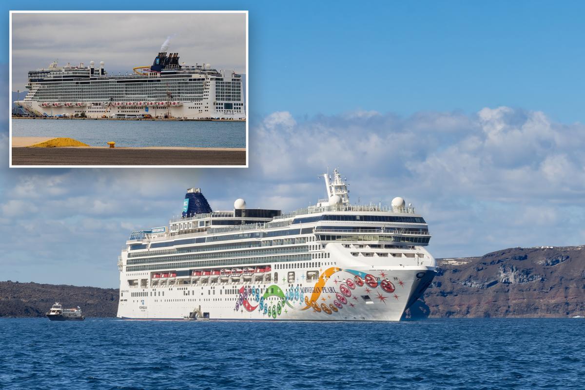 Norwegian Cruise ship veers off course to rescue 63 migrants along coast of Greece in ‘mandatory’ search and rescue