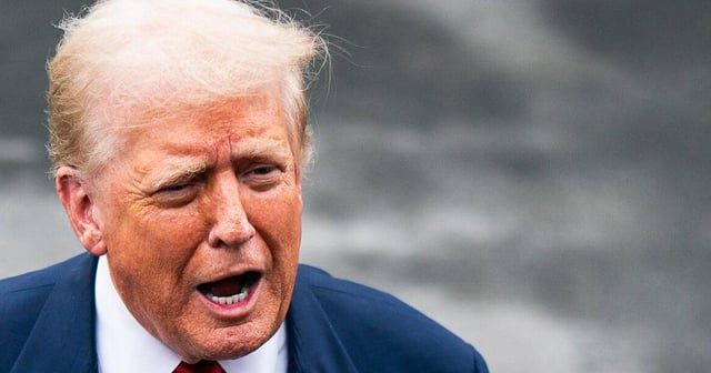 2 Key Democrats Come Out And Say It: Trump Has 'Some Kind Of Dementia'