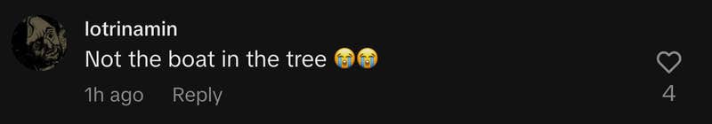 “Not the boat in the tree 😭😭.”