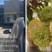"Ballin' on a McBudget": DIY bride claims she clipped her wedding flowers from McDonald's