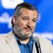 GOP Sen. Ted Cruz says, "Let's stop attacking pedophiles" during Congress speech
