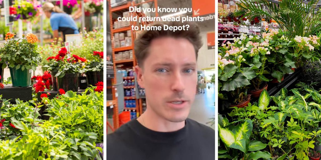 "How is that possible?": Home Depot worker clues customer in on the store's policy for returning dead plants
