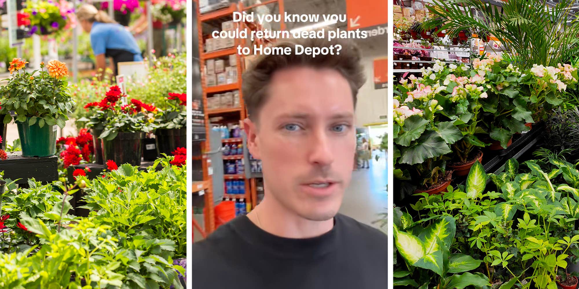 "How is that possible?": Home Depot worker clues customer in on the store's policy for returning dead plants
