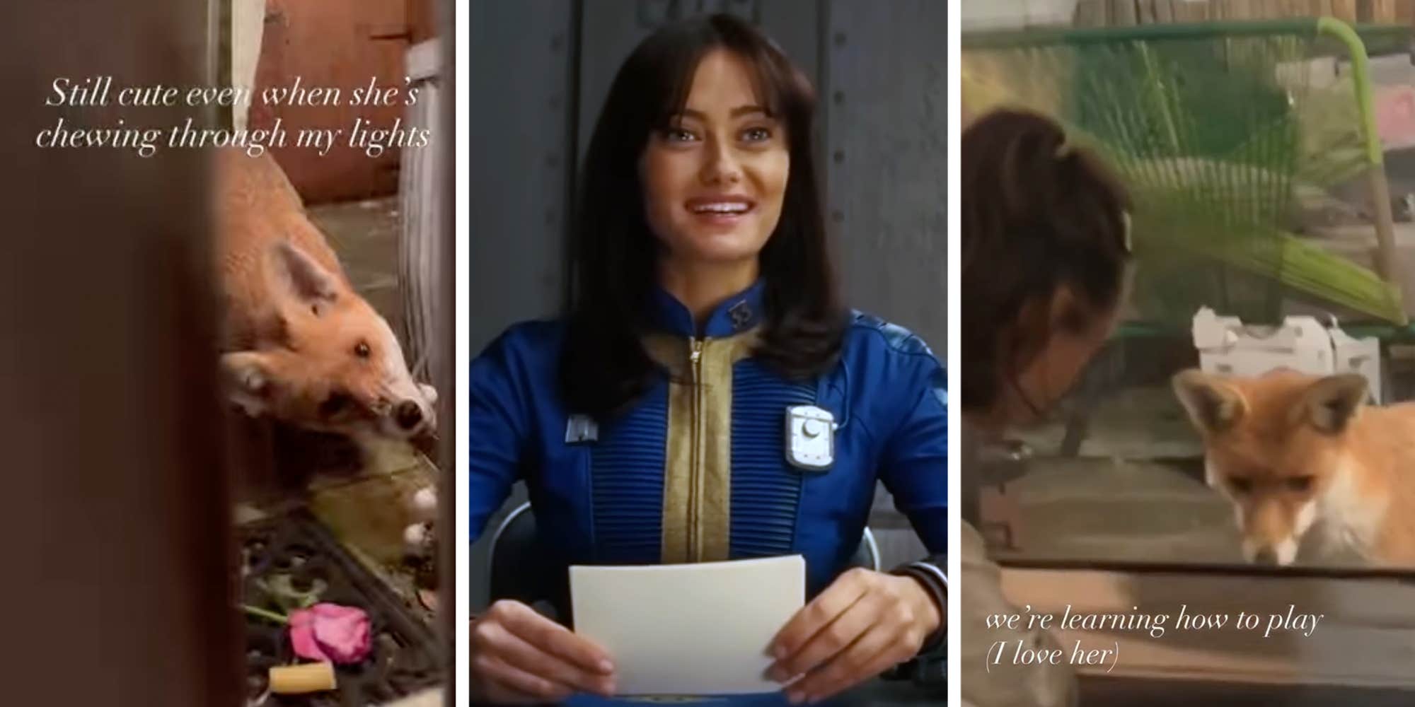 "I caved": Ella Purnell is documenting her attempts to befriend a backyard fox on Instagram