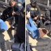 ICE Agents Rip Clothes Off Woman During Arrest, Video Shows