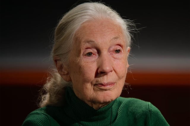 Jane Goodall, in Her Last Words to the World, Shares Wish to Launch Donald Trump and Elon Musk on One-Way Trip to Space