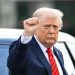 Medical Report For Trump, 79, Ignores Cankles and Bruises