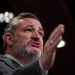 Ted Cruz accidentally urges lawmakers to 'stop attacking pedophiles'