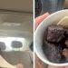 That ain't steak": Woman tries Arby's new Steak Nuggets. She says they taste like "burnt dog food