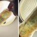 "That's digusting": Woman horrified after spotting what looks like mold inside her unopened Always pad