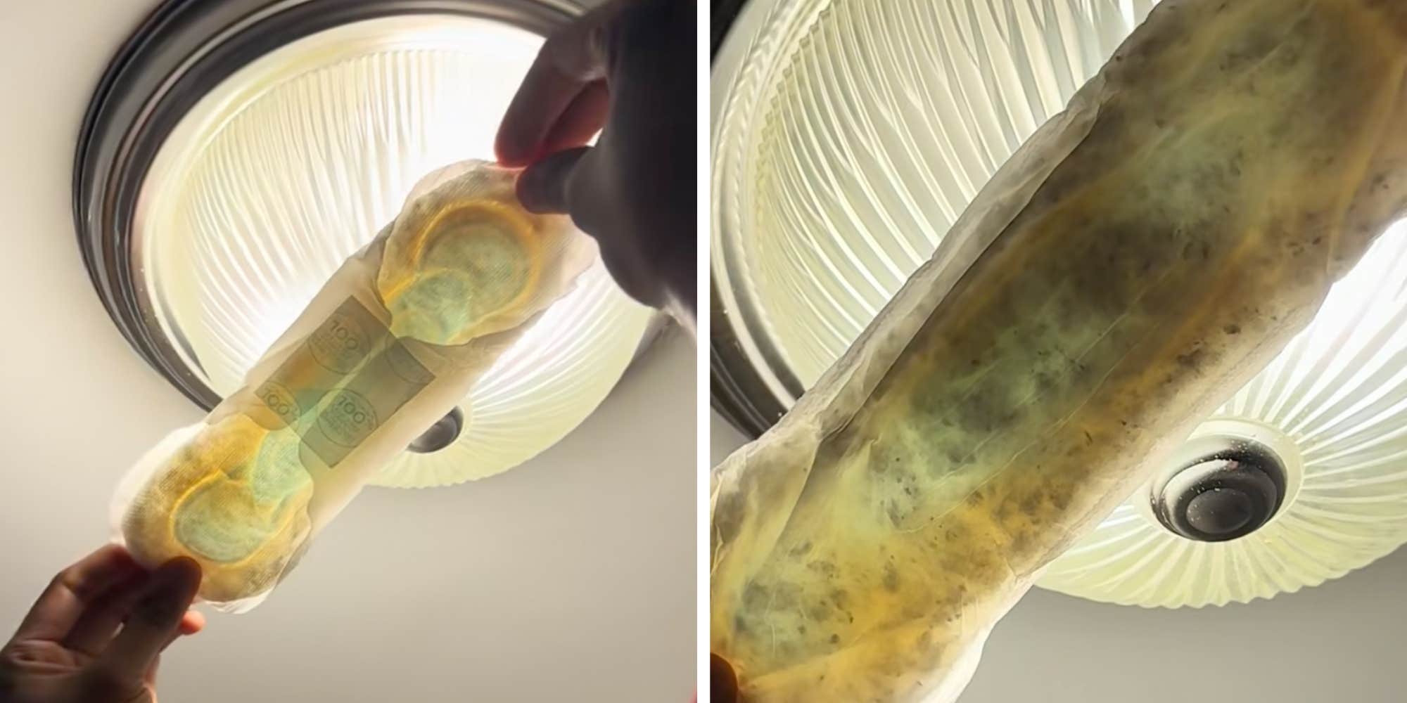 "That's digusting": Woman horrified after spotting what looks like mold inside her unopened Always pad