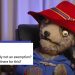 "This is wild": Producers of the "Paddington" movies sue YouTubers using the bear's likeness as a crude puppet podcaster