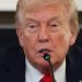 Trump, 79, Struggles to Stay Awake at White House Meeting | Gavin Newsom weighed in on the president’s appearance, calling him “Dozy Don.”