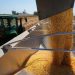 Trump considers massive bailout of at least $10 billion for American farmers hurt by his trade war
