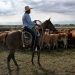 Trump says U.S. cattle ranchers 'don't understand' tariffs after some slam Argentine beef plan