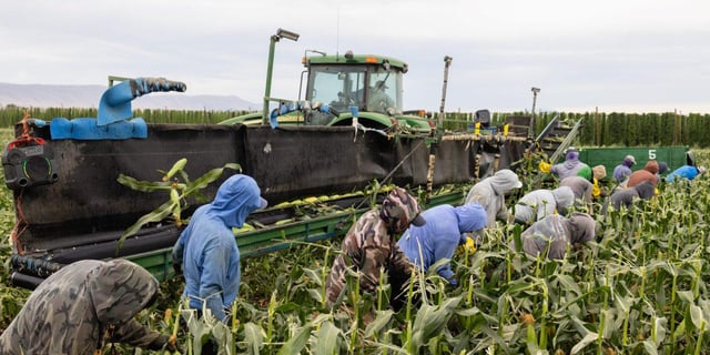 Trump's own Labor Department quietly admits his immigration crackdown risks 'supply shock-induced food shortages' and higher prices