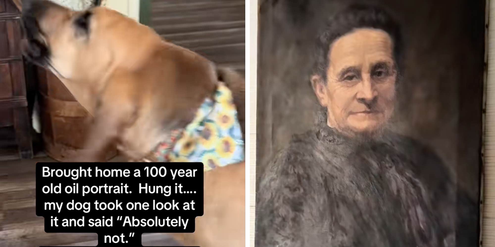 "Trust her instinct": Dog refuses to go near 100-year-old painting and viewers are convinced it's haunted