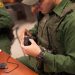 US federal judge orders ICE to wear body cameras in Chicago
