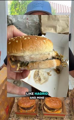 TikTok video showing an image of a moldy McDonald's Big Mac over two that appear fresh.