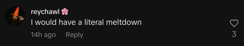 “I would have a literal meltdown.”