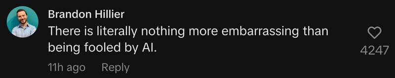 “There is literally nothing more embarrassing than being fooled by AI.”