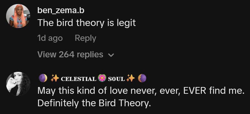 TikTok comments including one reading "The bird theory is legit"