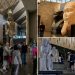 Egypt unveils world’s largest museum dedicated to a single civilization